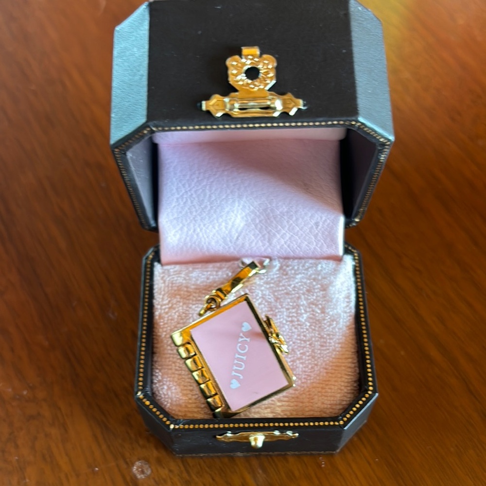 Juicy Couture *RARE* pink look book
